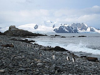 <span class="mw-page-title-main">Greenwich Island</span> Island of the South Shetland Islands, Antarctica