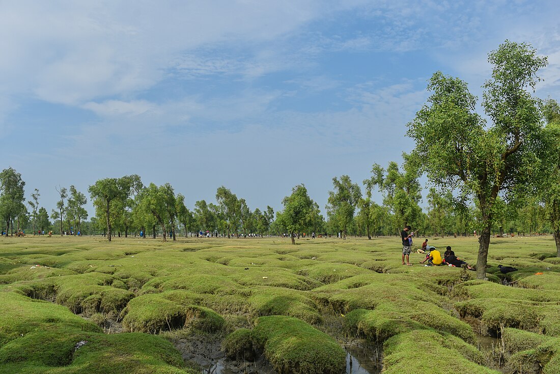 Guliakhali Beach