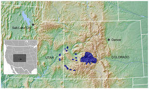 Gunnison Grouse