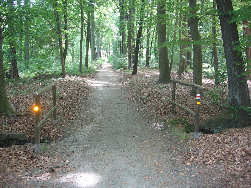 File:Guteborn, Weg am Schlossteich über den Zufluß vom Kühlen Born, Spätfrühling, 01.jpg