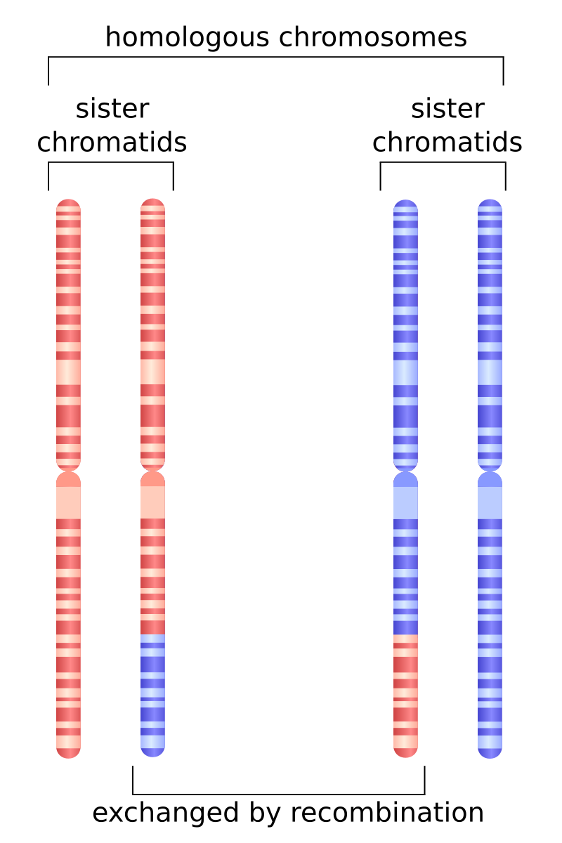 Random assignment of intact groups and subsequent collection of