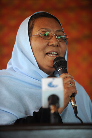 <span class="mw-page-title-main">Habiba Sarābi</span> Afghan Hazara politician (born 1956)