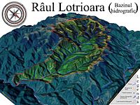 Lotrioara