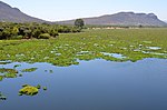 Миниатюра для Файл:Hartbeespoort Dam, North West (South Africa).jpg