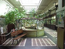 Reptile centre at the Museum National d'Histoire Naturelle in Paris HerpetoInter.jpg