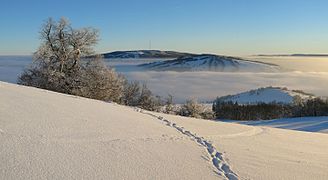 Hexenbuche mit Kreuzberg