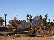 An oasis in the Hoggar Mountains