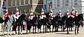 Horse guards 2016 (2).jpg