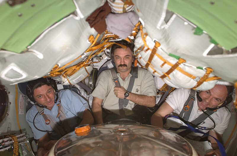 File:ISS-08 Soyuz TMA-3 landing crew during descent training exercise.jpg