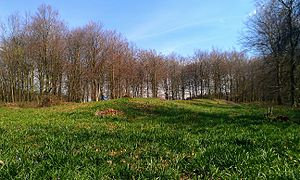 Jacket's Field long barrow, one of Julliberrie's Grave's fellow Stour barrows Jacket's Field Long Barrow I.jpg