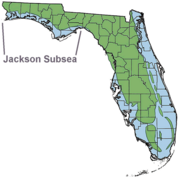 Pliocene-Pleistocene Florida displaying the remnants of the Jackson Subsea heading toward post-Jackson dry period. Jackson Subsea Florida Pliocene-Pleistocene.png