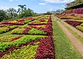 * Nomination Gardens, Madeira Botanical Garden, Funchal --Llez 05:28, 12 June 2020 (UTC) * Promotion Nice.--Famberhorst 05:54, 12 June 2020 (UTC)