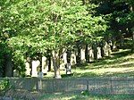 Jüdischer Friedhof (Adelebsen)