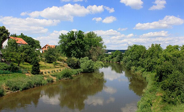 The Jizera in Tuřice