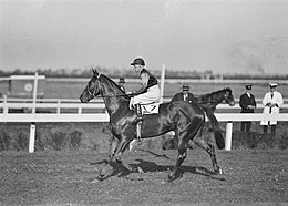 Jockey riding race horse Manfred, New South Wales, April 1936.jpg