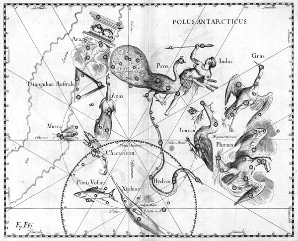 Johannes Hevelius - Prodromus Astronomia - Volume III "Firmamentum Sobiescianum, sive uranographia" - Tavola FFF - Polus Antarcticus.jpg