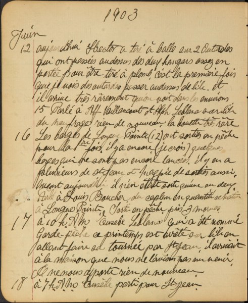 File:Journal de l'ile aux perroquets 1901–1907 09N P48D2.2 2 0050.tif