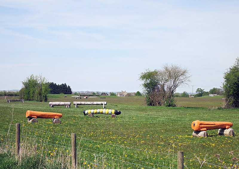 File:Jump over the Carrots - geograph.org.uk - 4953877.jpg