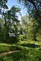 Kahovka Arboretum 09 (YDS 1315).jpg