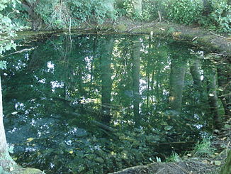 Karst spring on the northern edge of Hofheim next to the Aubach