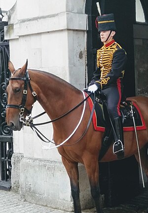 Guardia Del Rey Carlos Iii Del Reino Unido