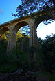 wikimedia_commons=File:Knapsack_Viaduct.jpg