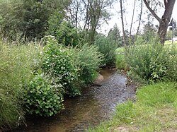 Krumbach am südlichen Ortsrand von Krumbach (Schwaben) .jpg