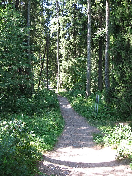 Trail in the Kruununpuisto Nature Park in Imatra, Finland