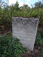 English: Jewish cemetery in Krzeszów, subcarpathian voivodeship Polski: Cmentarz żydowski (Kirkut) w Krzeszowie, w powiecie niżańskim