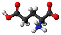 Glutaminsyrans tredimensionella struktur.