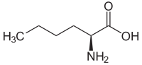 L-Norleucin.svg