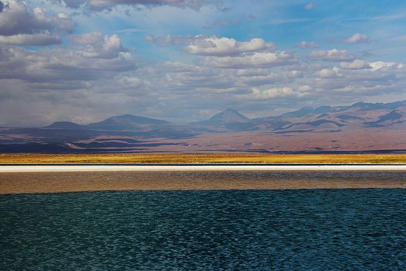 File:Laguna chaxa, atacama, chile.JPG