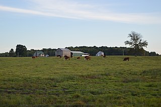 Lake Township, Mercer County, Pennsylvania Township in Pennsylvania, United States