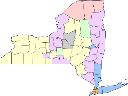 New York ethnic distribution, 2000
