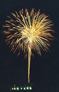 Fireworks, Central Park, Largo, Florida. July 4, 2006 Largo fireworks01.jpg