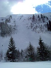 Mountainside in the Zastler Loch following an avalanche Lawine Feldberg Zastler20050313Hang.jpg