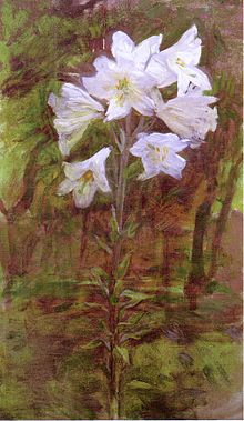 Lilies, circa 1890s, oil on canvas (26 x 15)