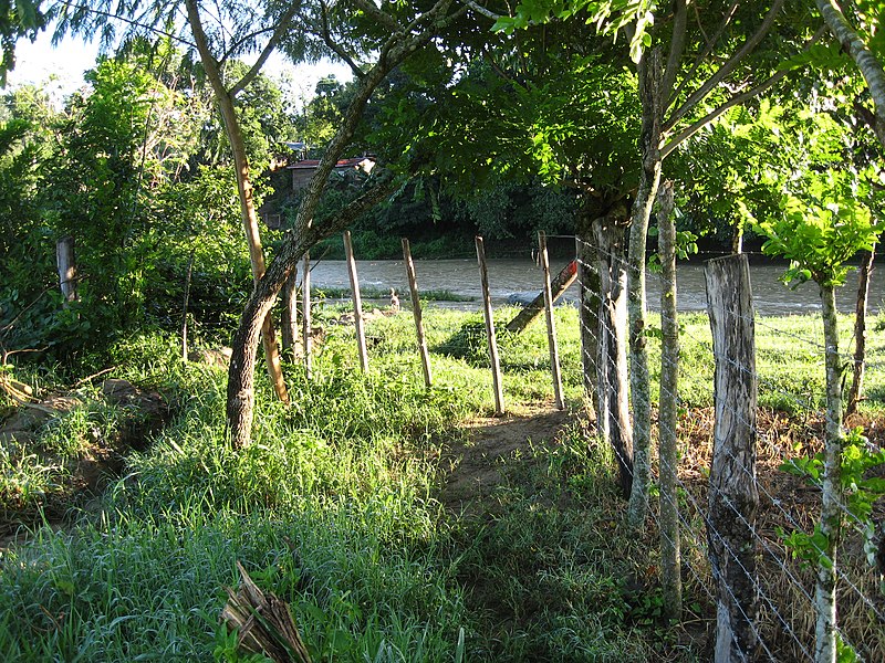 File:Looking north toward the river, June 2010 - panoramio.jpg