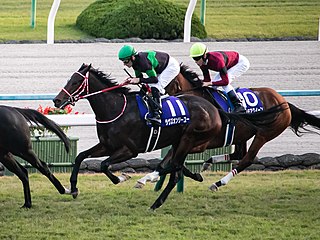 <span class="mw-page-title-main">Loves Only You</span> Japanese Thoroughbred racehorse