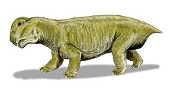 Ricostruzione di Lystrosaurus