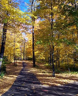 Campus of Michigan State University