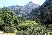 Sierra de Tejeda