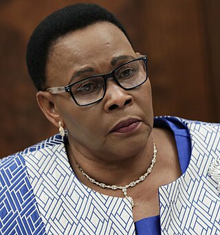 <span class="mw-page-title-main">Mabel Chinomona</span> Zimbabwean politician
