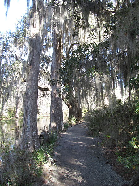 File:Magnolia Plantation and Gardens - Charleston, South Carolina (8556609620).jpg