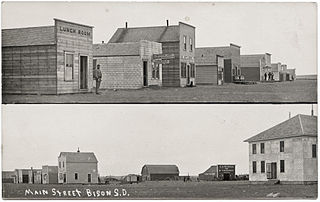 Bison, South Dakota Town in South Dakota, United States