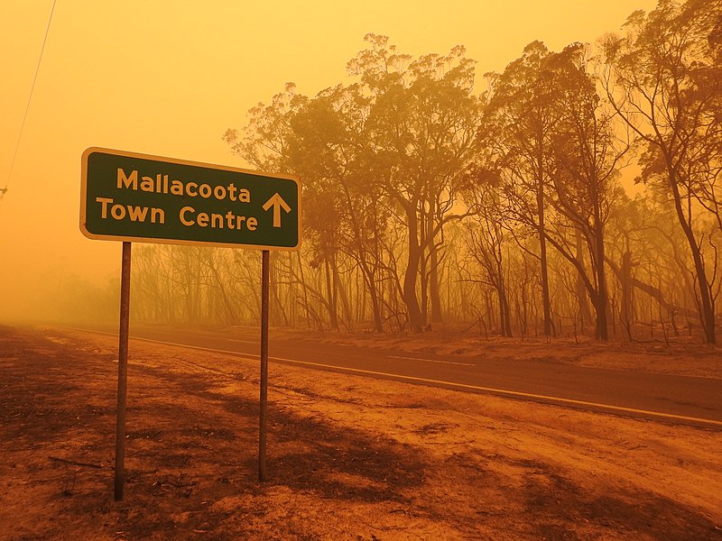 File:Mallacoota fires (49341731077).jpg