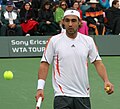 Thumbnail for Marcos Baghdatis