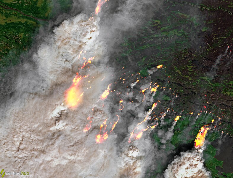 File:Massive fires in Québec, Canada (Lat- 53 33, Lng- -76 11) - 28 June 2023 (53013814798) (cropped).jpg