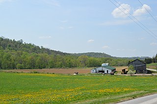 <span class="mw-page-title-main">West Mahoning Township, Pennsylvania</span> Township in Pennsylvania, United States