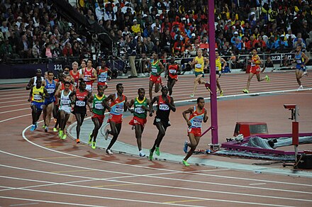 Runners turning the bend in the men's 10,000 metres final at the 2012 Summer Olympics.